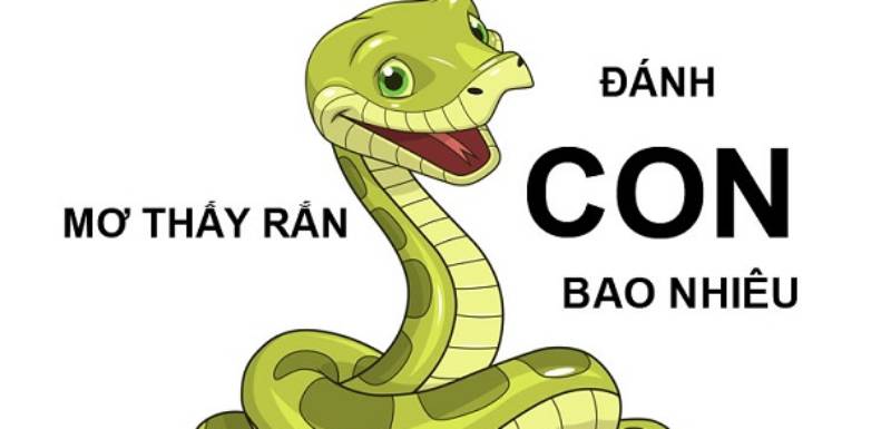 Ý Nghĩa Số Đề Con Rắn, Cách Chơi Chuẩn Từ Dân Lô 3 Y Nghia Cua So De Con Ran
